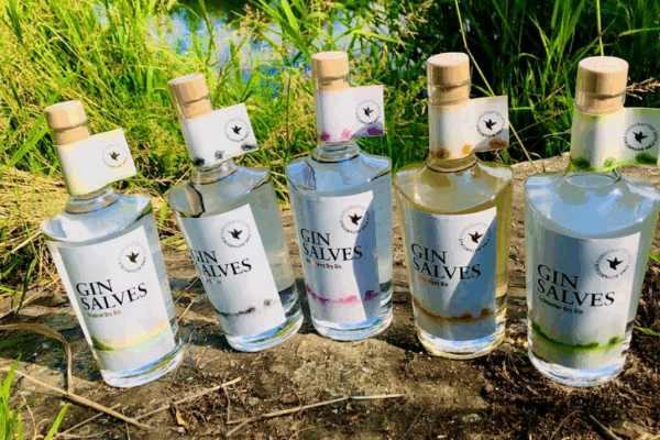Bild 2 von Gin Salves