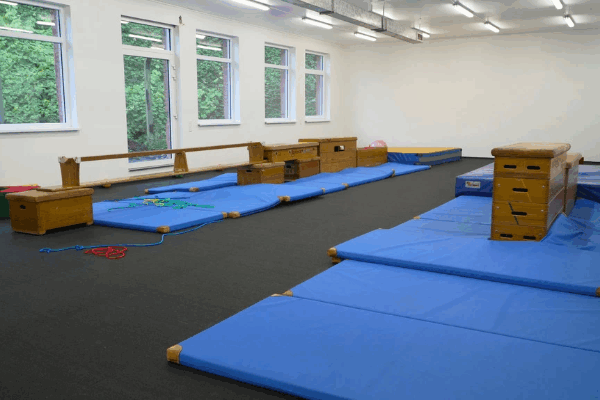 Bild 2 von Vinys- Kinderturnen- Eltern-Kind-Turnen- Kindergeburtstag